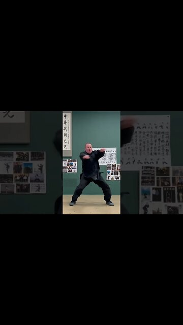 Liu he Dan Chui intro #martialart #kungfu #safetraining