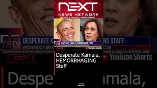 Desperate Kamala, HEMORRHAGING Staff #shorts