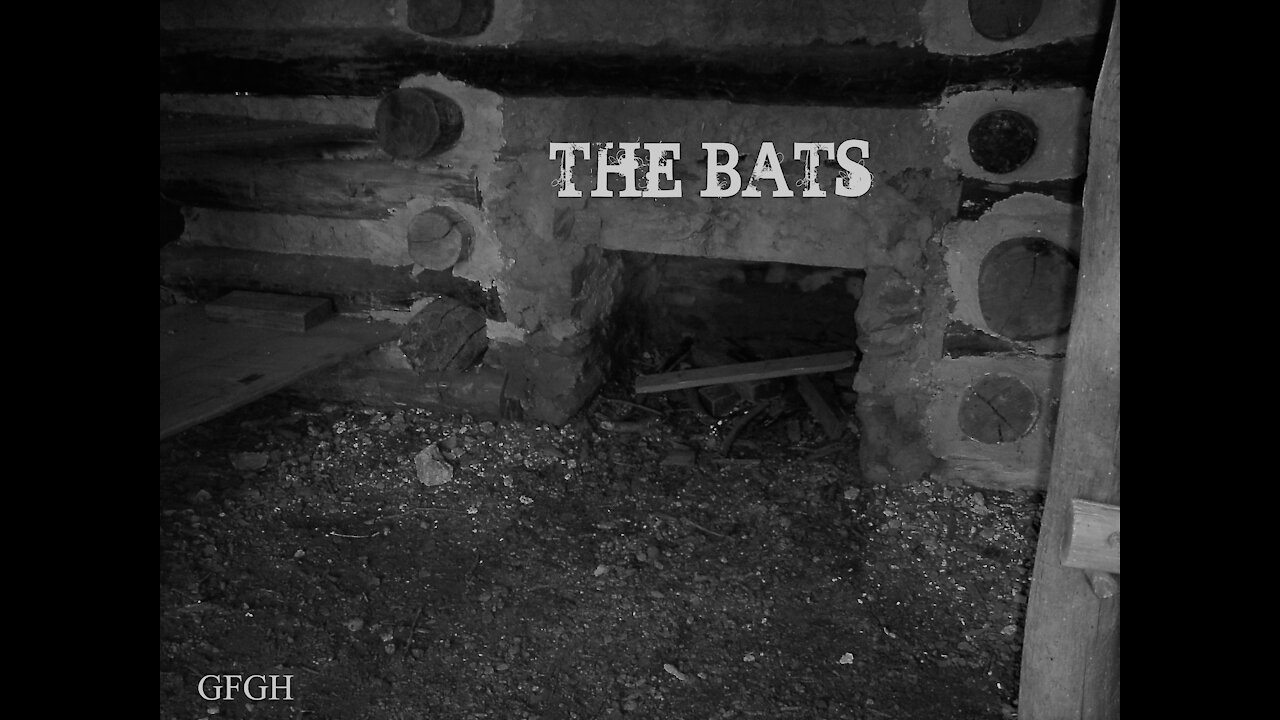 THE BATS (short) - Gallo Family Ghost Hunters