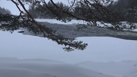 Luminen Langinkoski ja keisarillinen kalastusmaja 3.1.2022