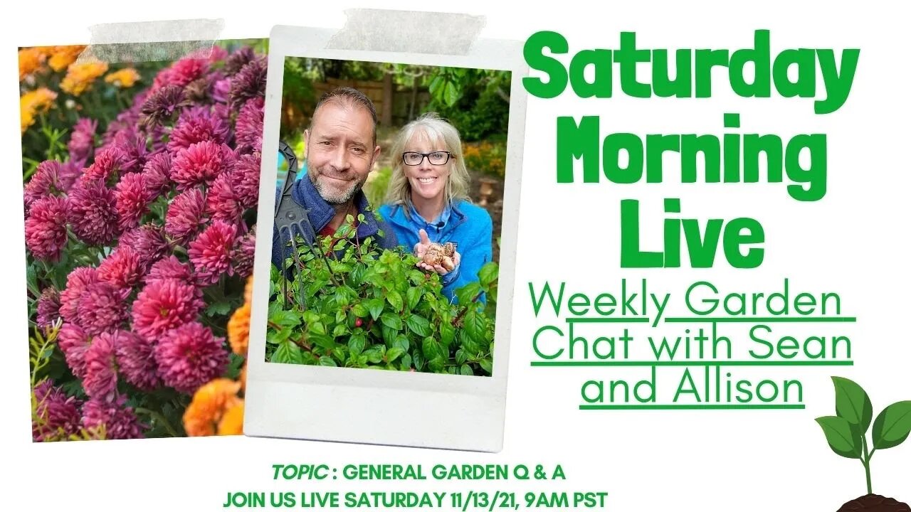 ☕ Garden Q & A | Saturday Morning LIVE Garden Chat ☕