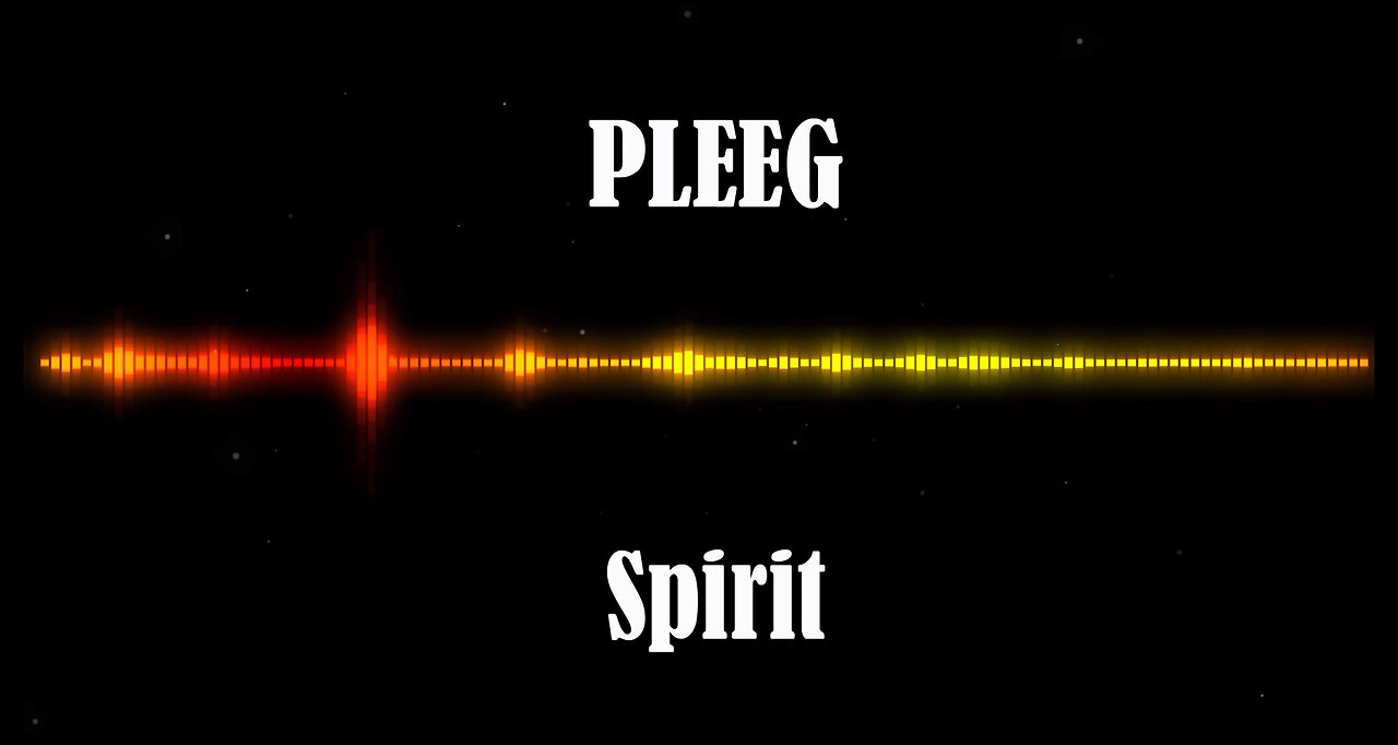 PLEEG - Spirit