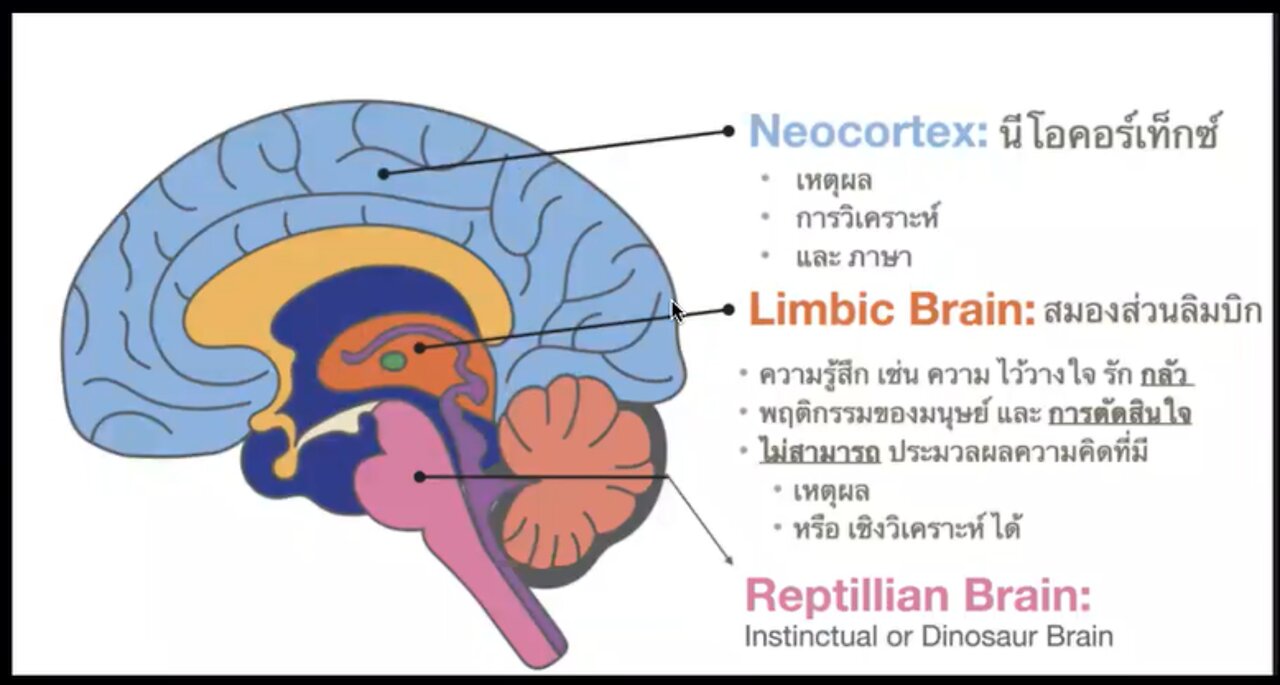 อดิเทพ รีเสิร์ช Ep1-2 การล้างสมองมวลชน (เกิดอะไรขึ้นในสมองของเรา)
