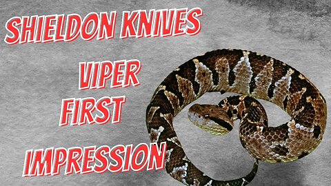 GARZA DESIGN SHIELDON VIPER | FIRST IMPRESSIONS