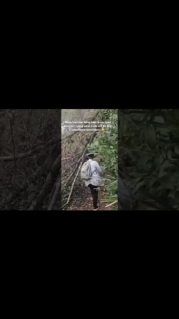 The NonnaBoss & the Next Generation of Researchers! Stacy Brown, OutKast Matt & Bigfoot Anon!