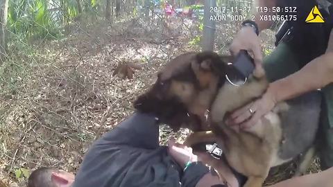 WATCH: K-9 takes down Florida man who injected heroin while being chased by deputies