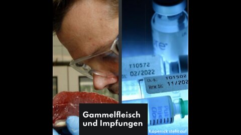 Gammelfleisch und Impfungen