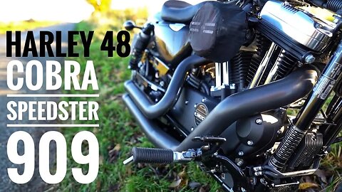 Harley 48 With Cobra Speedster 909 Exhaust [PURE SOUND]