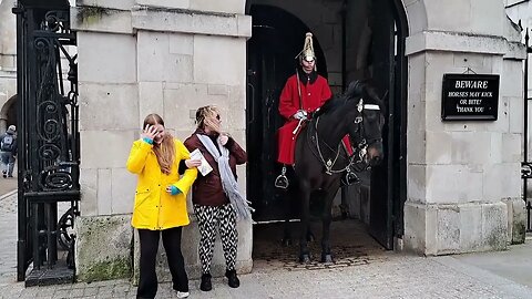 Horse wants to bite #thekingsguard