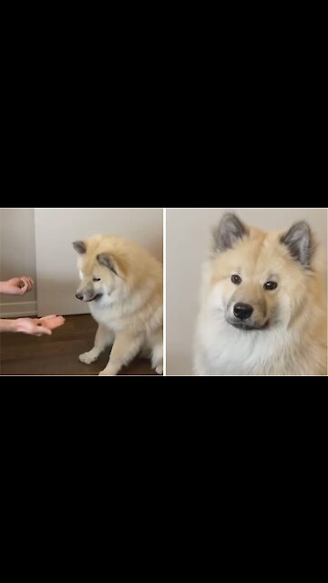 The Moment You Realize You Made The Wrong Decision