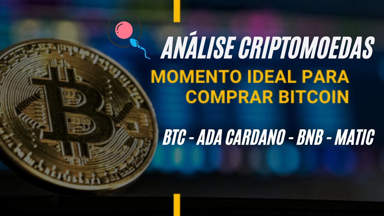 Análise biticoin, ada cardano, BNB, Poligon Matic - como analisar criptomoedas - bitcoin valerá 100k