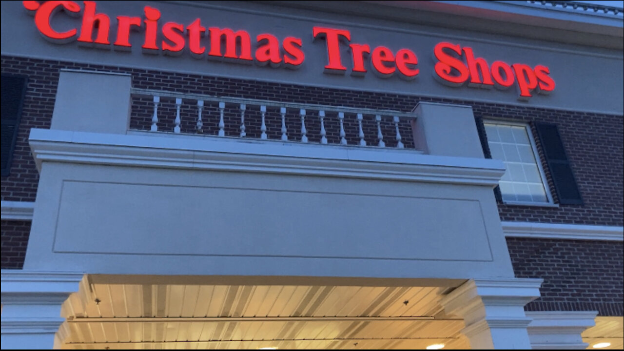 Fall Shop With Me - Christmas Tree Shop 🍁