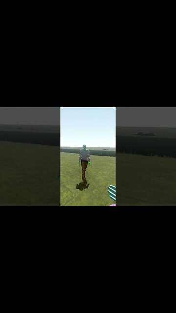 I AM A NINJA #thelongdrive #short