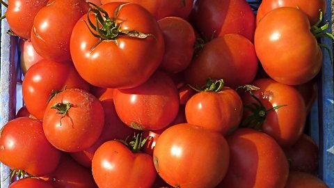 Why Veganism Is Taking Over