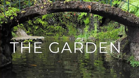 The Garden