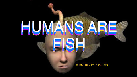 BRASS TACKS-HUMANS ARE FISH