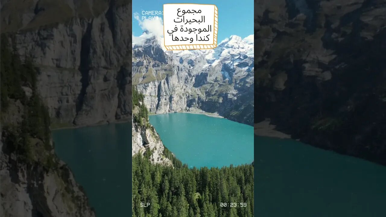 #trending #viral #subscribe #youtube #shortsvideo #foryou #لبنان #learn #معلومات