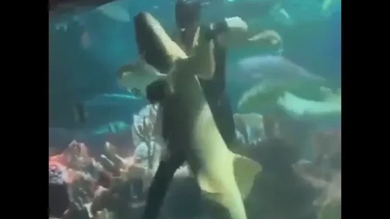۳ دسامبر ۲۰۲۲