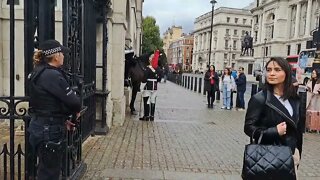 Female armed police and the blues and royals #horseguardsparade