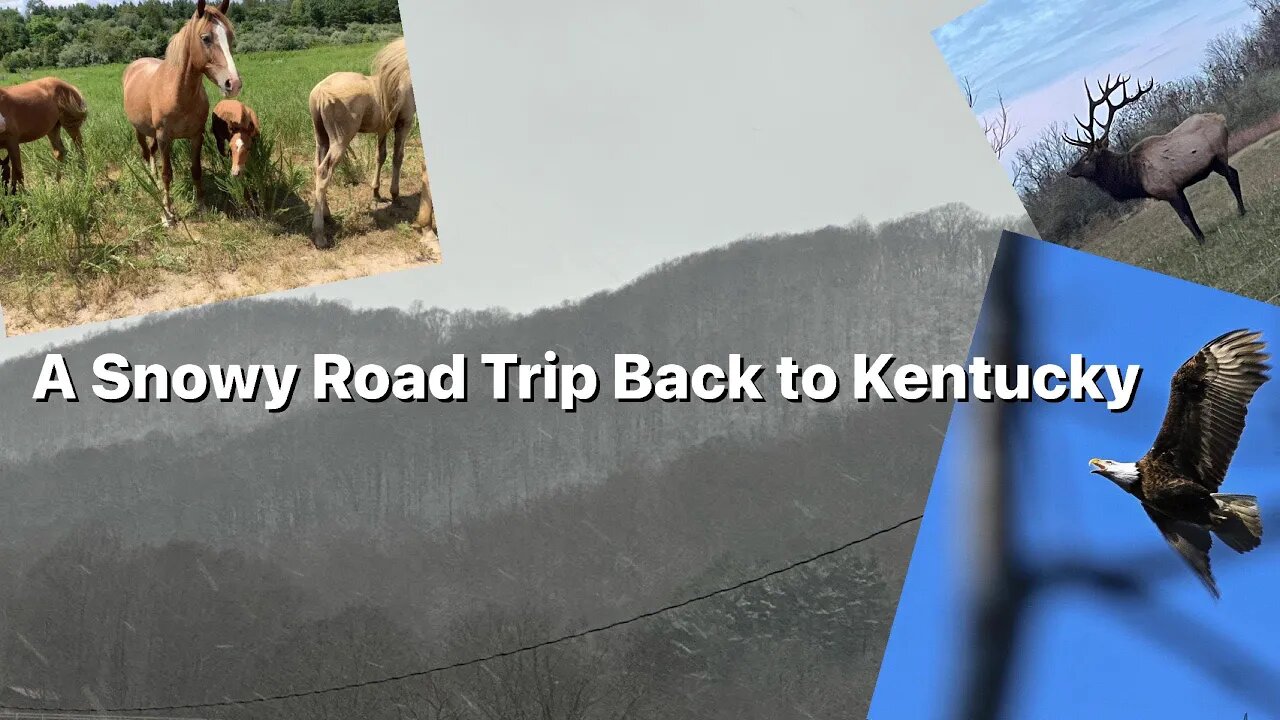 A Snowy Road Trip Back to Kentucky