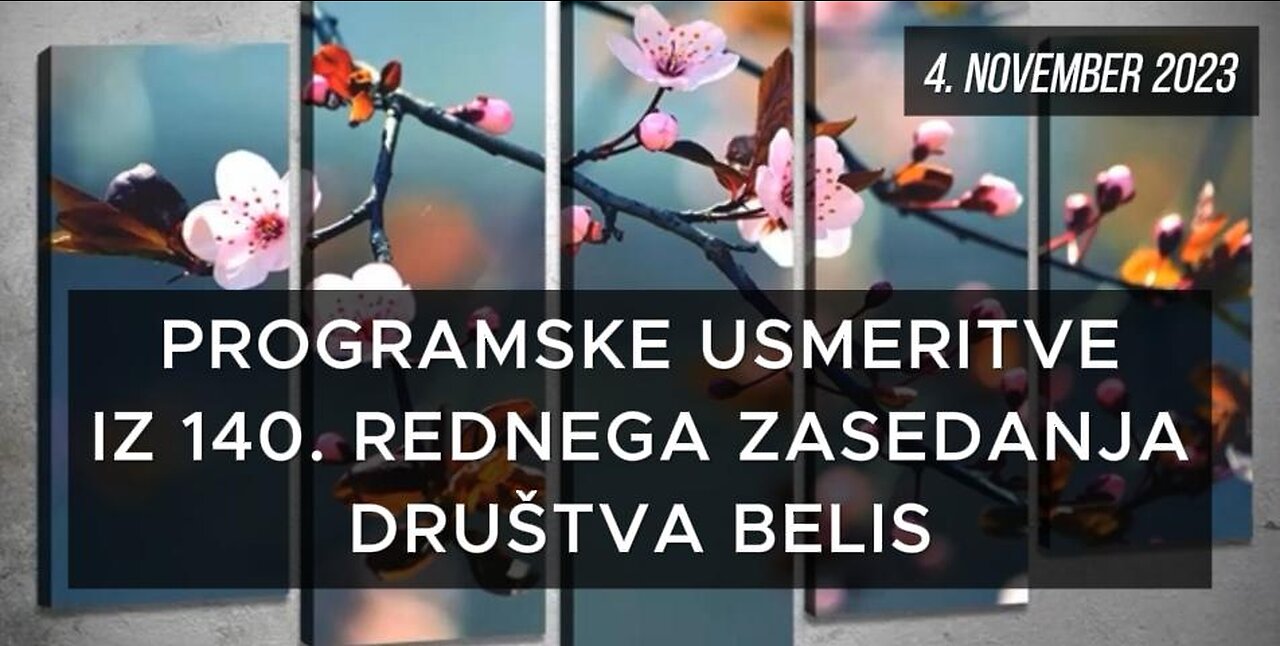 PROGRAMSKE USMERITVE IZ 140. REDNEGA ZASEDANJA DRUŠTVA BELIS