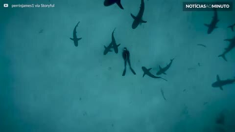 Mergulhador deita no fundo do mar repleto de tubarões