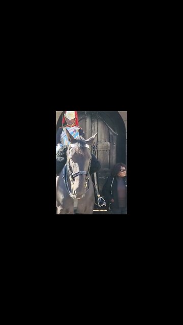 another one likes the boot #horseguardsparade