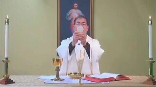 LIVE Daily Holy Mass for Monday, Nov. 14th, 2022