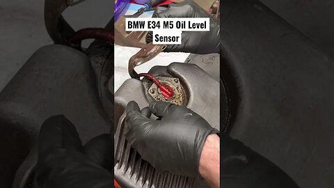 BMW E34 M5 Oil Level Sensor #bmw #diy #bmwm5 #bmwe34 #restoration #cars #automotive #tools