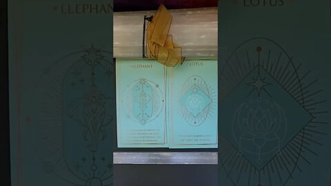 Empathy & Moving Away From Darkness and spout Like A Lotus!😇😘🙃