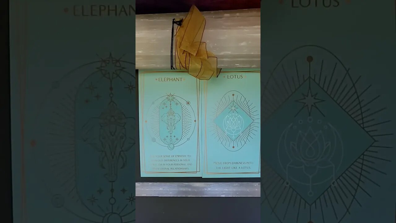 Empathy & Moving Away From Darkness and spout Like A Lotus!😇😘🙃