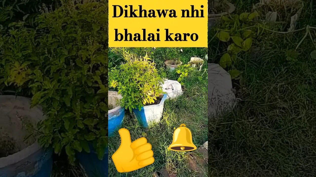 dikhawa mat karo karna hai to bhala karo kisika | bhala karo #live #viral #shorts #short #shortvideo