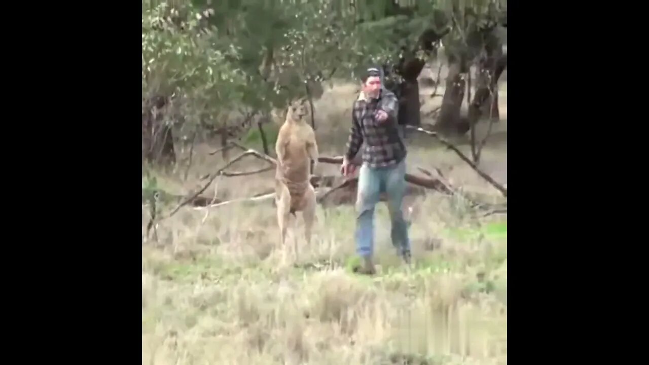 Funny video 2023 05 07 21 57 57 Episode 03