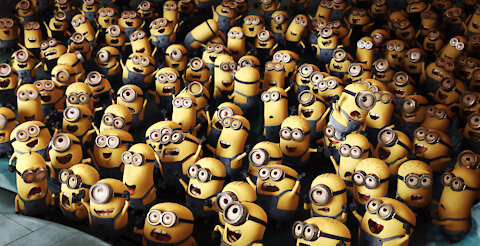 Real life Minions