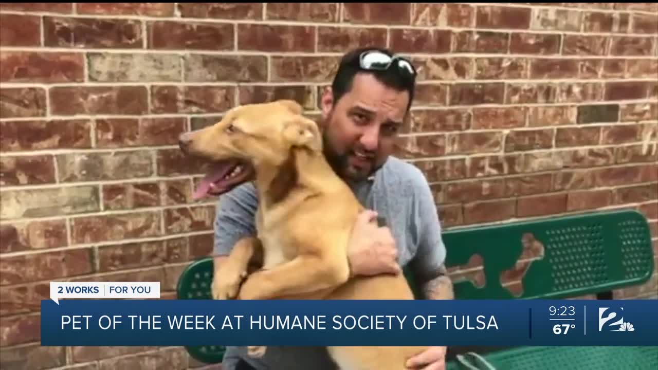 Pet of the Week: Finn