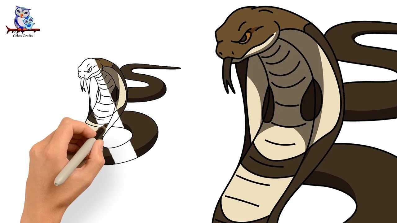 How to Draw a King Cobra - Step by Step