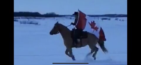 Cowboys Join Truckers Freedom Convoy