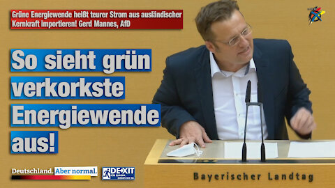 Grüne Energiewende heißt teurer Strom aus ausländischer Kernkraft importieren! Gerd Mannes, AfD