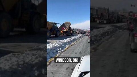 Canadian Truckers show that freedom is non-negotiable