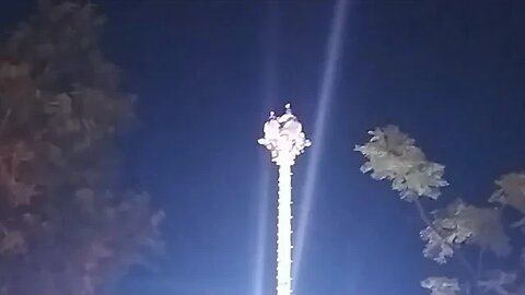 Totonec Pole Dancers At Expo New Mexico State Fair!