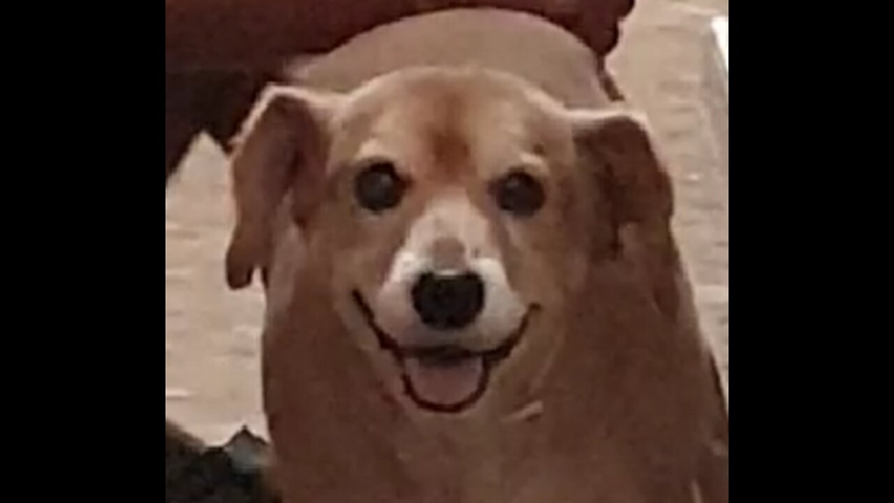 Whys he so happy ðŸ˜ðŸ˜
