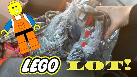 LEGO LOT AT THE THRIFT! | What should I do?