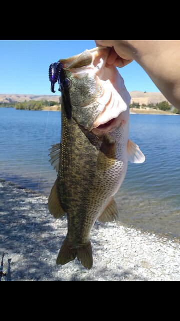 SUMMER TIME BASSIN !! NEW PB !!