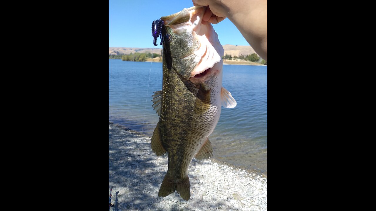 SUMMER TIME BASSIN !! NEW PB !!