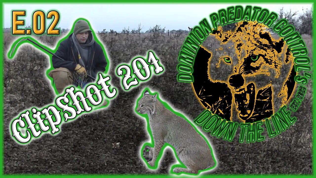 Down The Line ClipShot 201 | Bobcat Release