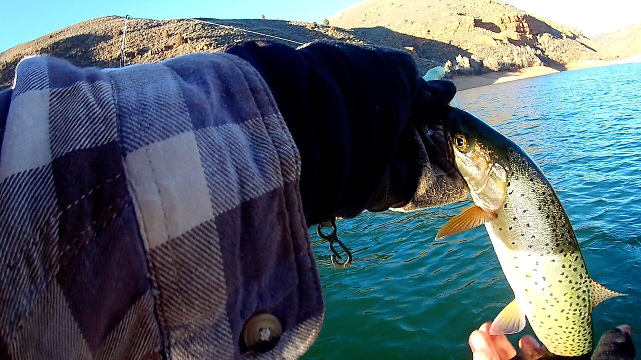 Fishing in Freezing Conditions