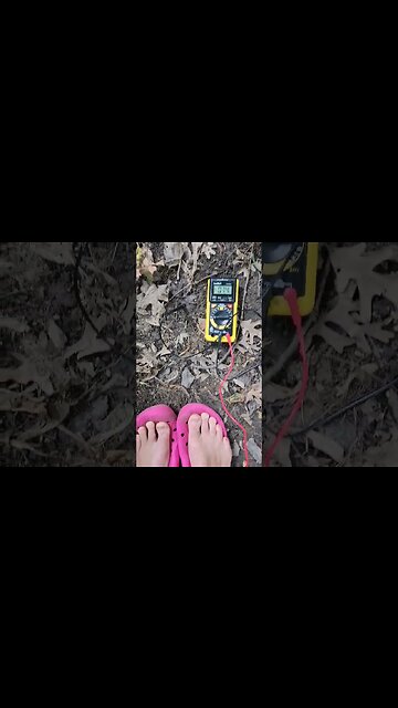 Grounding/Earthing is real 🦶⚡ #shorts #grounding #earthing #electricity #electric