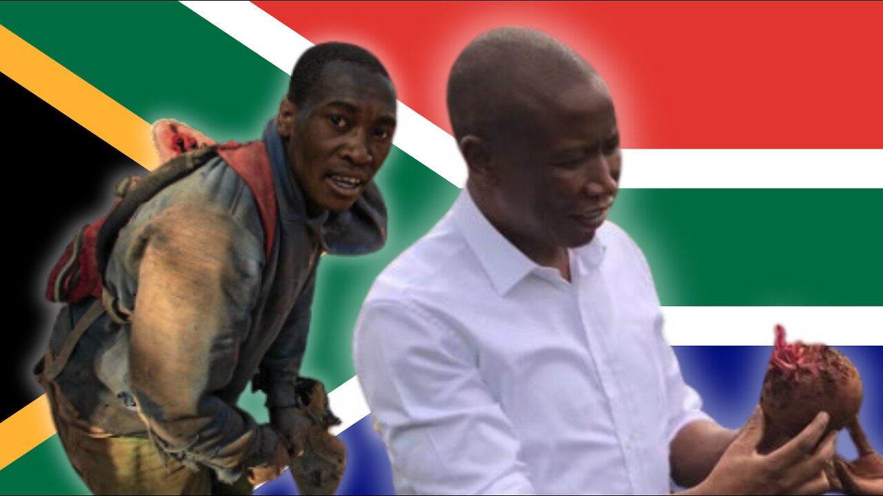 Malema to leave politics for FARMING? | Should Zama Zama's (illegal miners) have 'RIGHTS'?