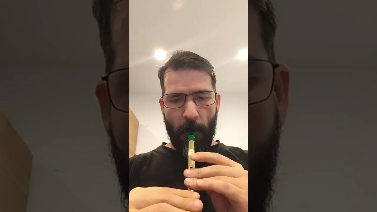 The rattling bog, beginner tin whistle.