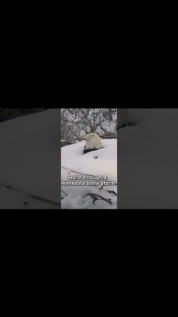 I understand the instinct and the love. #love #unconditionallove #parent #family #mamabear